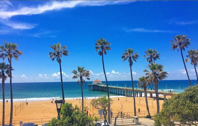 A pier with palm trees on the beach.