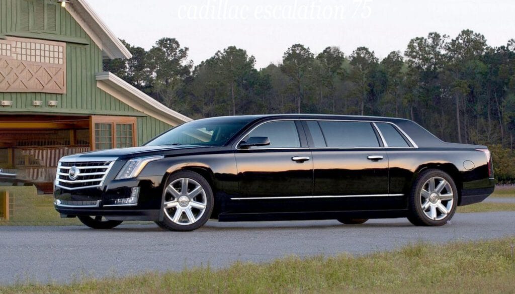 A black limo is parked on the side of the road.