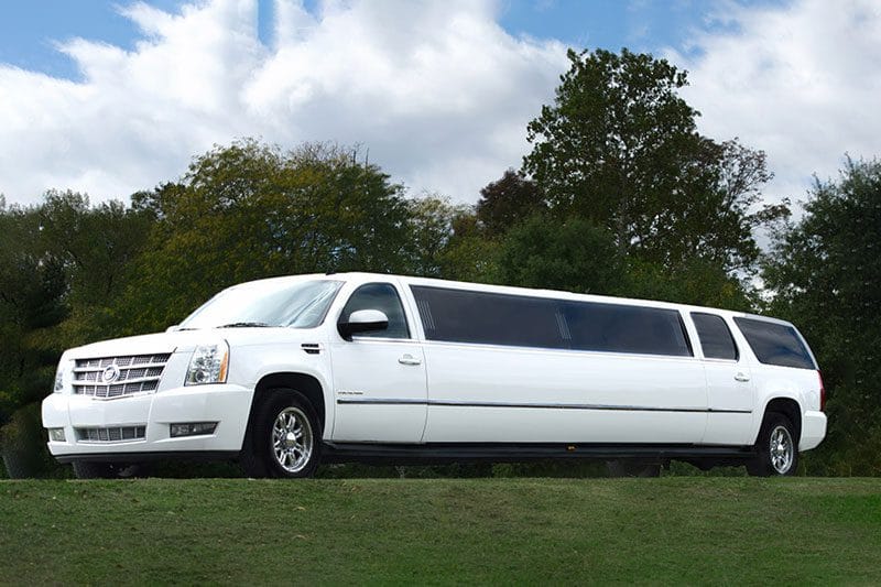 A white limo is parked in the grass.