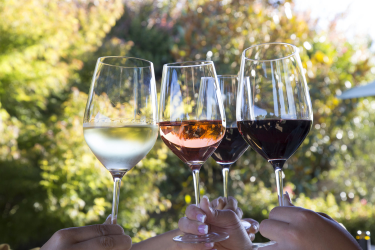 A group of people holding wine glasses in front of trees.