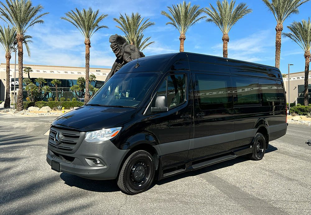 A black van parked in front of palm trees.