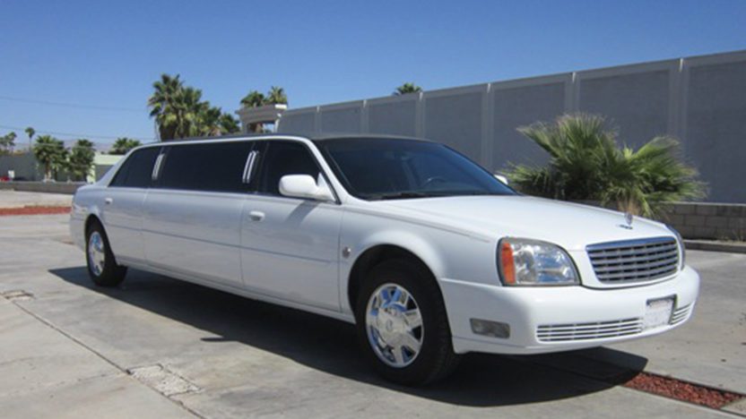 A white limo is parked in front of palm trees.