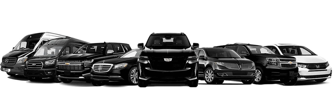 The Paramount Limousine fleet side by side: Sprinter vans, a Suburban, a Mercedes S Class, an Escalade, a stretch Lincoln and a Tahoe